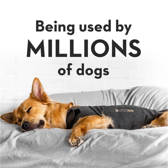 Thundershirt Dog Thundershirt The Best Solution For Dog Anxiety